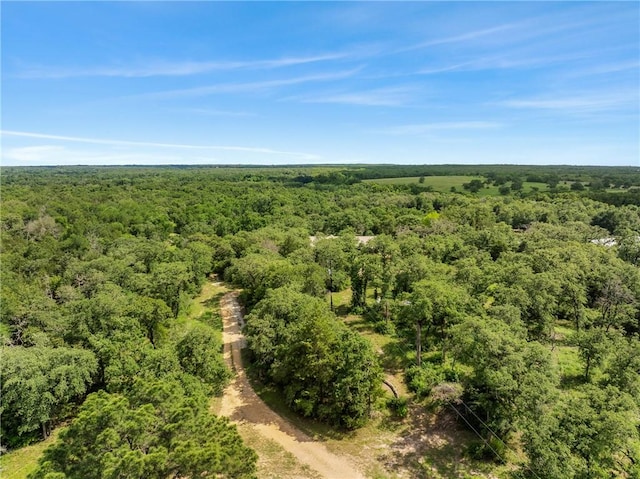 3205 County Road 308, Caldwell, TX 77836 - photo 48