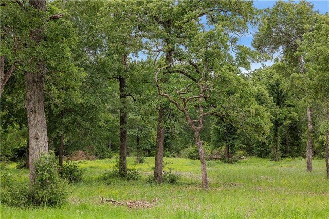3205 County Road 308, Caldwell, TX 77836 - view of woods