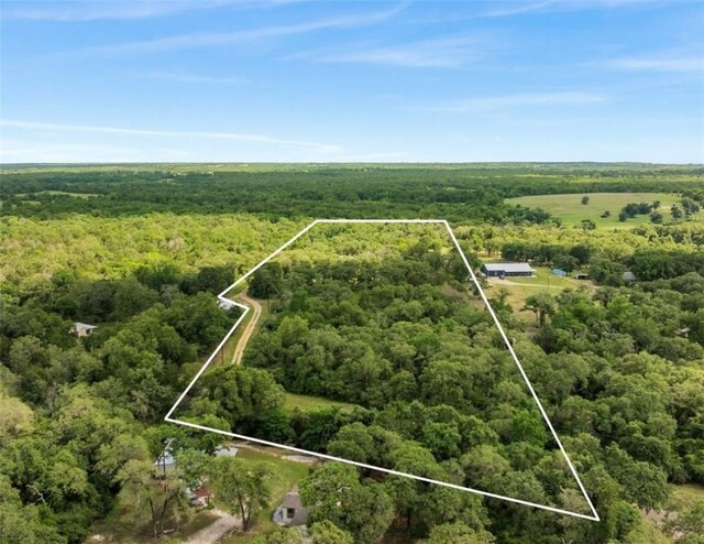 3205 County Road 308, Caldwell, TX 77836 - aerial view of property's location featuring a forest and property parcel outlined