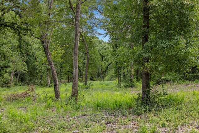 3205 County Road 308, Caldwell, TX 77836 - view of woods