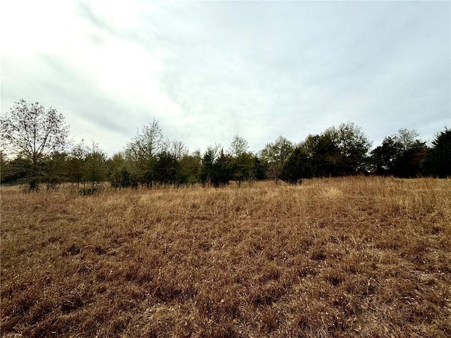 Listing photo 2 for TBD County Road 438, Marquez TX 77865