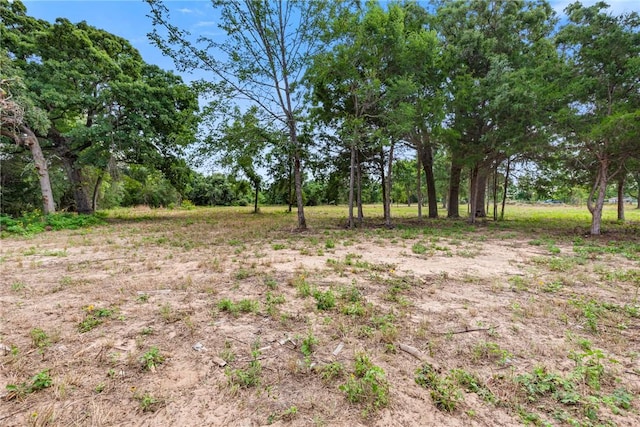 167 Signal St, Somerville, TX 77879 - photo 3