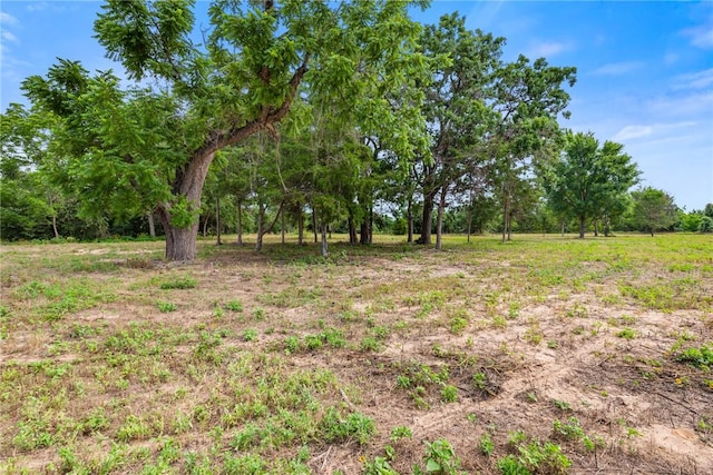 167 Signal St, Somerville, TX 77879 - photo 2