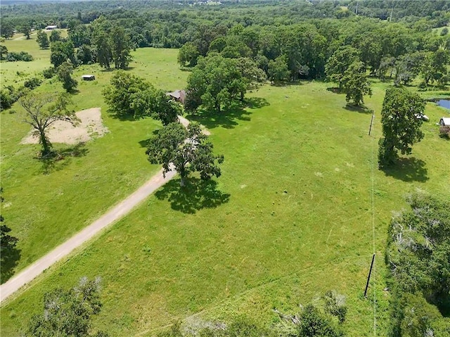 6605 Spring Branch Rd, Montgomery, TX 77316 - photo 3