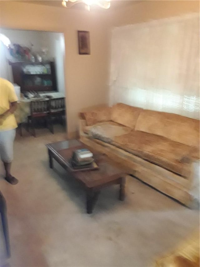 living room with carpet flooring