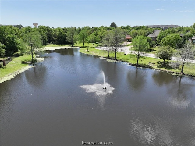 property view of water