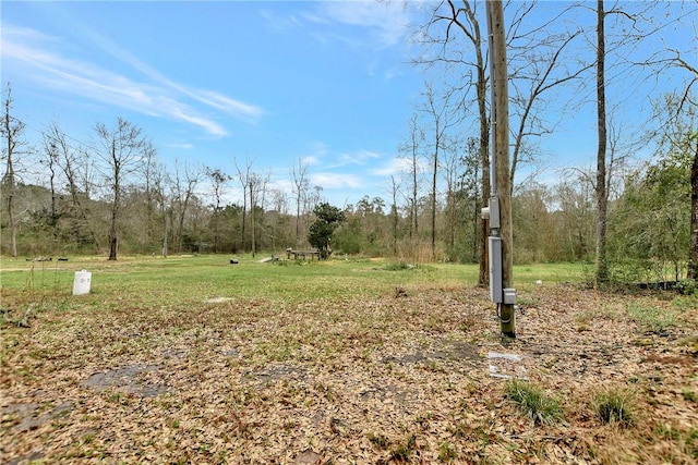 view of yard featuring a wooded view