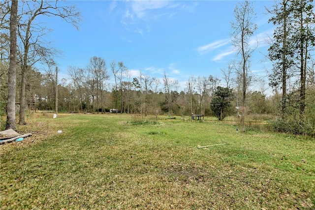 view of yard featuring a forest view