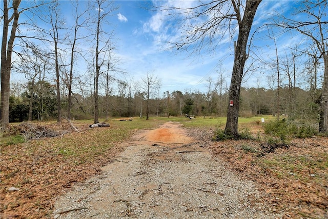 view of road