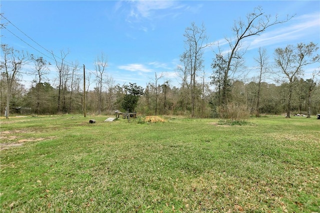 view of yard featuring a wooded view