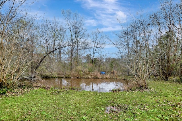 water view featuring a view of trees