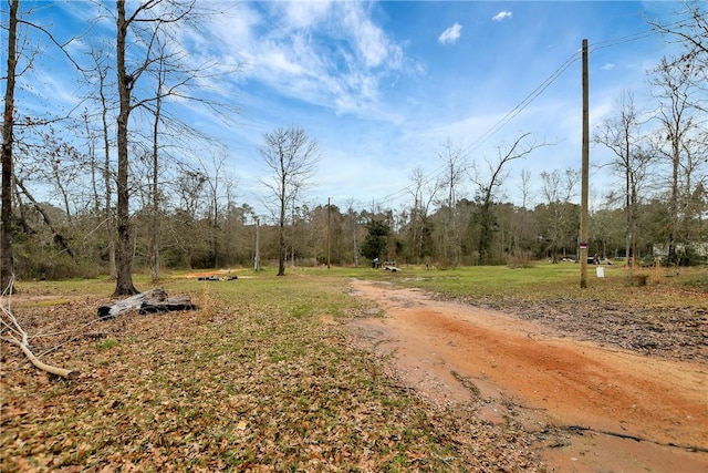 view of road with a view of trees