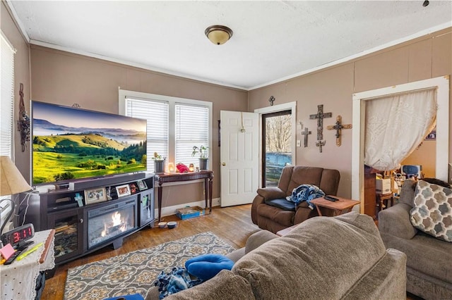 living room featuring wood-type flooring and crown molding