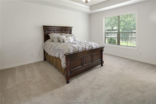 carpeted bedroom featuring a tray ceiling