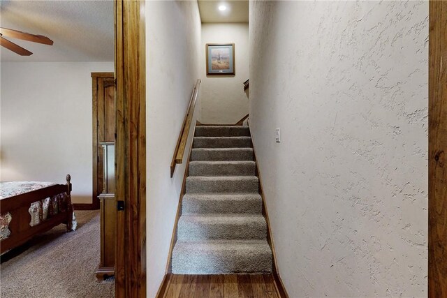 3300 Osage Trail Cv, College Station, TX 77845 - photo 36