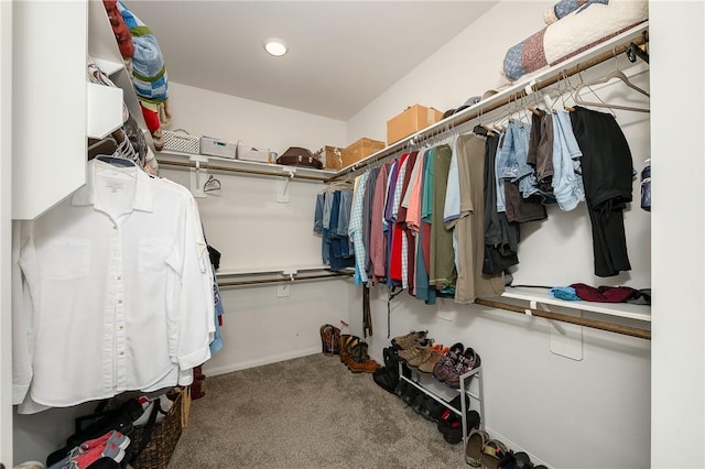 walk in closet with carpet flooring