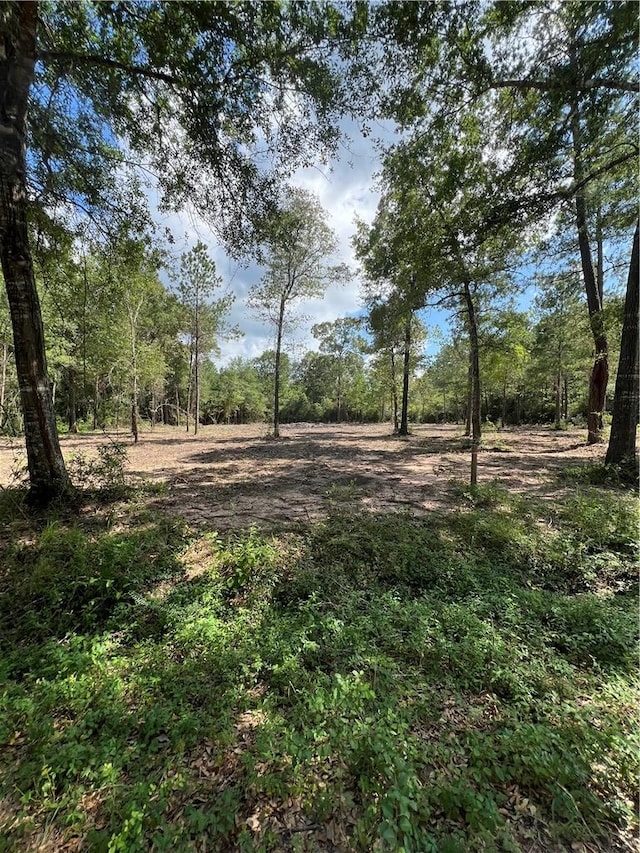 TBDLOT3 Deerwood Dr, Plantersville TX, 77363 land for sale