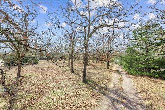 12994 Hunters Creek Rd, College Station, TX 77845 - photo 2