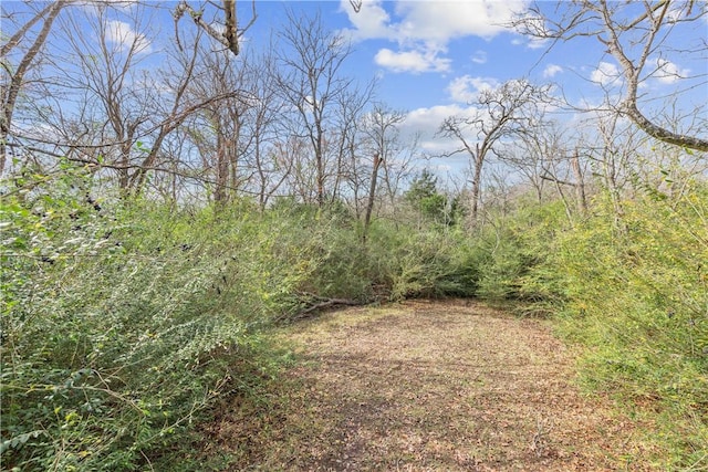 12994 Hunters Creek Rd, College Station, TX 77845 - photo 35