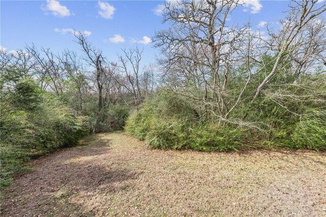 12994 Hunters Creek Rd, College Station, TX 77845 - photo 34