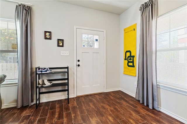 entrance foyer with dark hardwood / wood-style floors and a healthy amount of sunlight