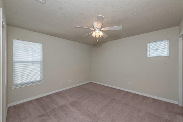 4100 Mclister Dr, College Station, TX 77845 - photo 22