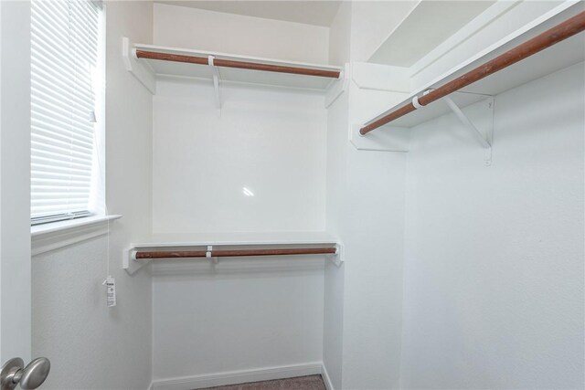 4100 Mclister Dr, College Station, TX 77845 - photo 19