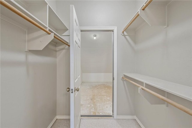 spacious closet featuring carpet flooring