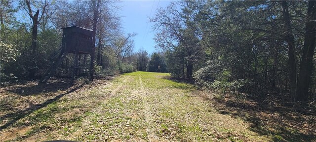 9628 Fm 2446, Franklin, TX 77856 - photo 15