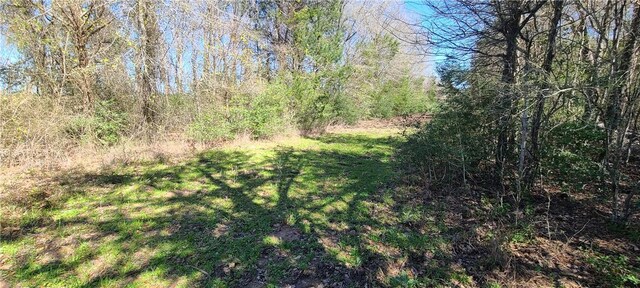 9628 Fm 2446, Franklin, TX 77856 - photo 12