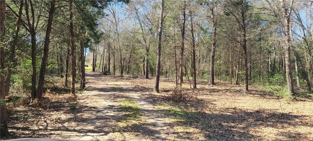 9628 Fm 2446, Franklin, TX 77856 - photo 2