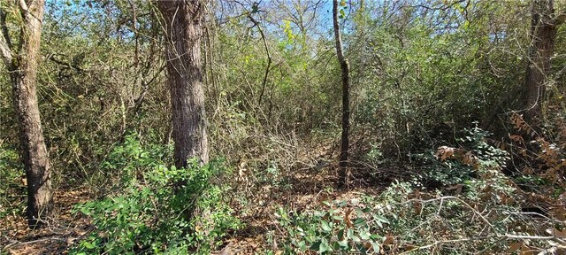 9628 Fm 2446, Franklin, TX 77856 - photo 14