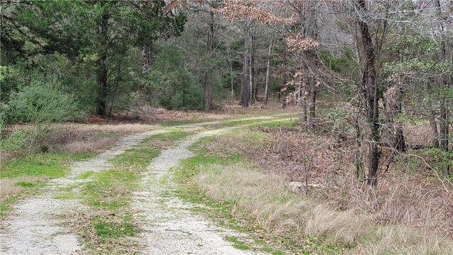 9628 Fm 2446, Franklin, TX 77856 - photo 8