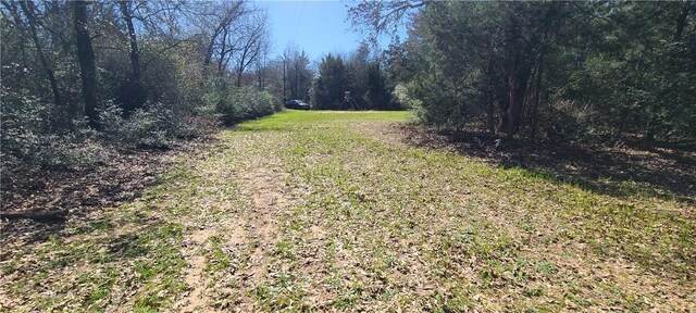 9628 Fm 2446, Franklin, TX 77856 - photo 10