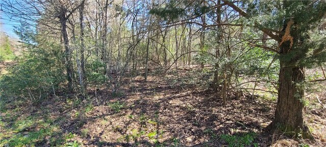 9628 Fm 2446, Franklin, TX 77856 - photo 4