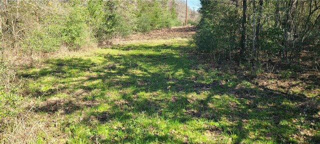 9628 Fm 2446, Franklin, TX 77856 - photo 11