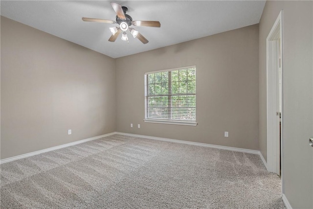 324 Forest Dr, College Station, TX 77840 - photo 12