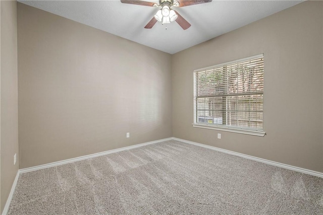 324 Forest Dr, College Station, TX 77840 - photo 8