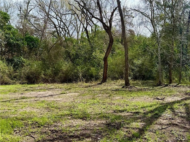 view of local wilderness with a view of trees