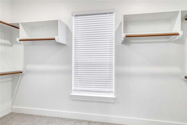 spacious closet with carpet