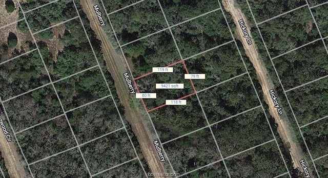 LOT21 Hickory Ln, Hilltop Lakes TX, 77871 land for sale