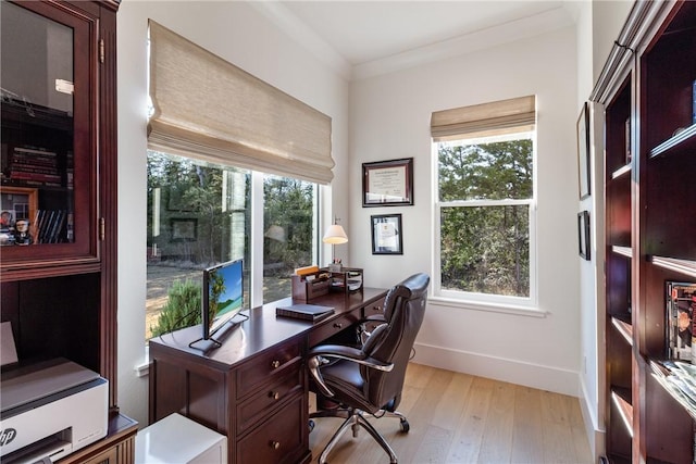 office area featuring ornamental molding, baseboards, and light wood finished floors