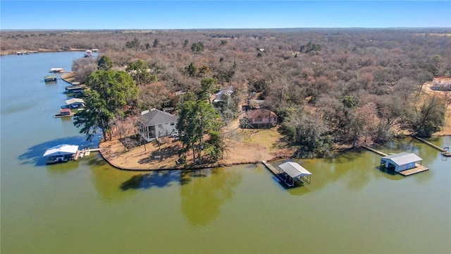 drone / aerial view with a water view and a wooded view