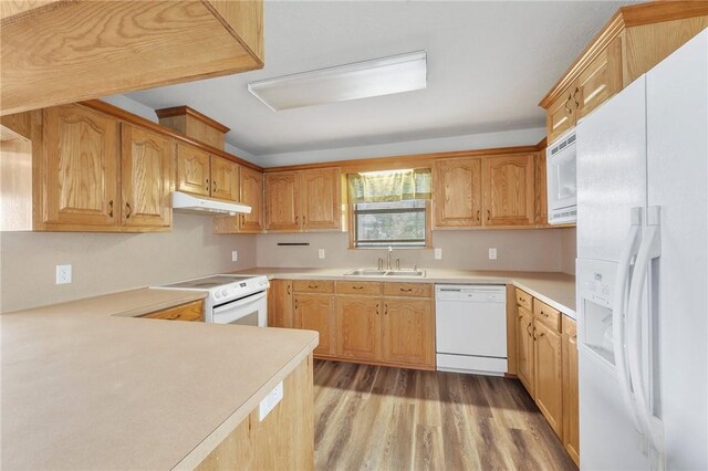 kitchen with light wood-style flooring, under cabinet range hood, white appliances, a sink, and light countertops