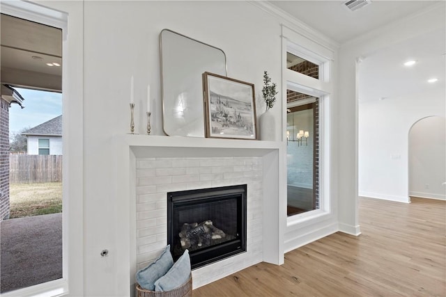 details featuring wood-type flooring, crown molding, and a fireplace