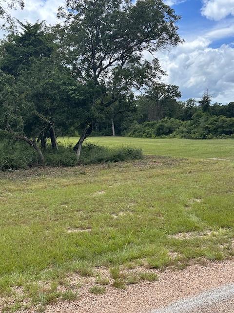 20 Meadowood, Hilltop Lakes, TX 77871 - photo 4