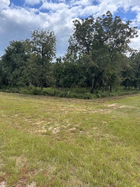 20 Meadowood, Hilltop Lakes, TX 77871 - photo 1