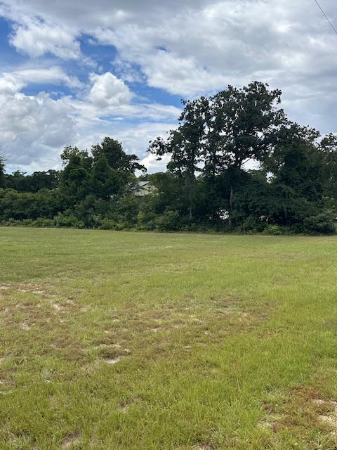 20 Meadowood, Hilltop Lakes, TX 77871 - photo 6