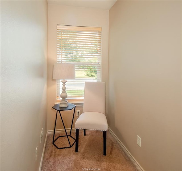 3503 Myth Ln, College Station, TX 77845 - photo 22
