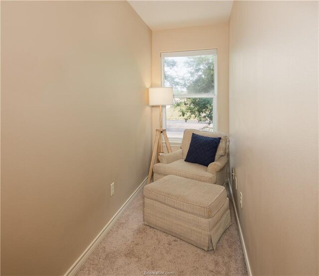 3503 Myth Ln, College Station, TX 77845 - photo 29